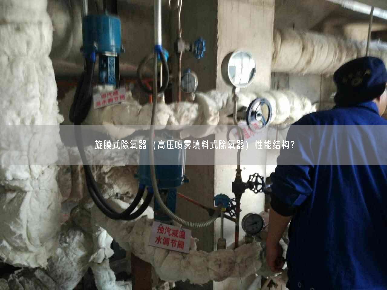 旋膜式除氧器（高壓噴霧填料式除氧器）遙遙能結構？