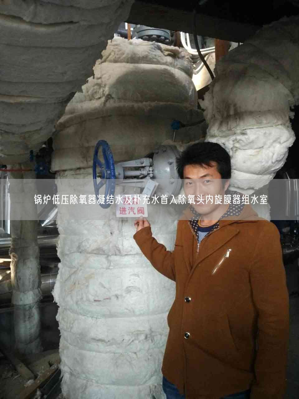 鍋爐低壓除氧器凝結(jié)水及補充水首入除氧頭內(nèi)旋膜器組水室