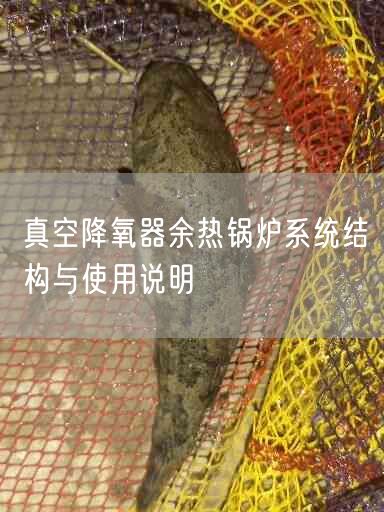 真空降氧器余熱鍋爐系統(tǒng)結(jié)構(gòu)與遙遙說(shuō)明