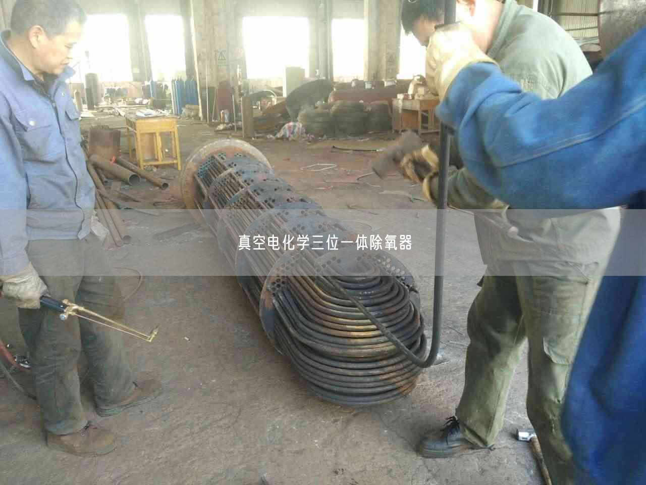 真空電化學(xué)三位一體除氧器