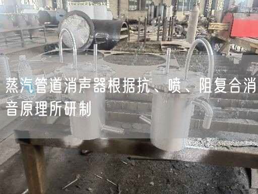 蒸汽管道消聲器根據(jù)抗、噴、阻復(fù)合消音原理所研制